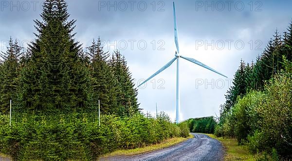 Windmill in the field