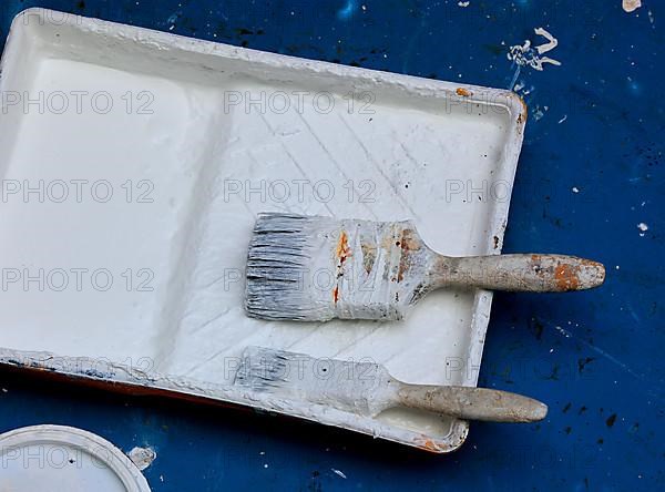 Two white brushes lying in a white paint tub on a blue background