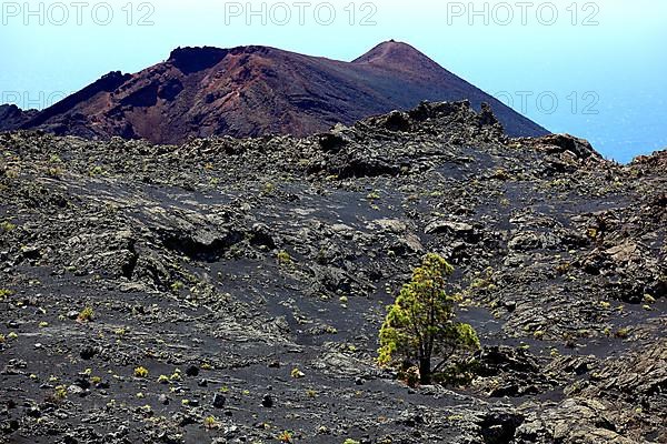 Volcanic landscape