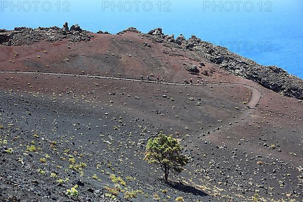 Hikers on the way from San Antonio Volcano to Teneguia Volcano at Cap Fuencaliente