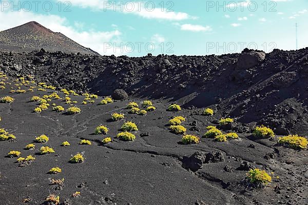 Blue volcanic landscape at Cap de Fuencaliente