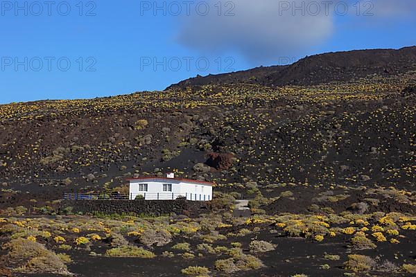 House in the blue volcanic landscape at Punta de Fuencaliente