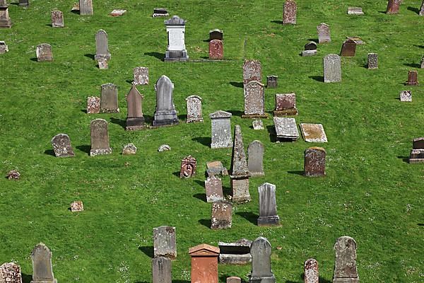 Melrose Abbey