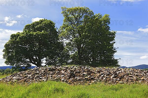 Kilmartin Glen