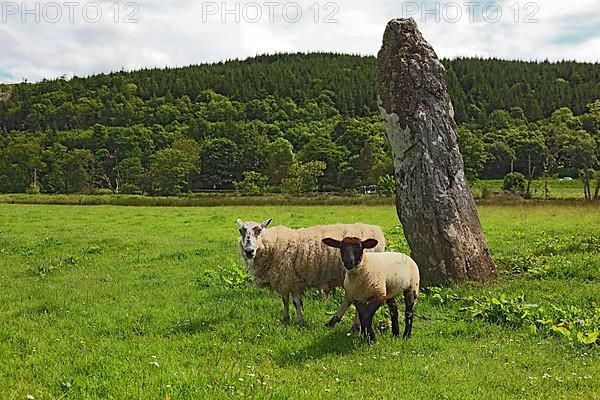 Kilmartin Glen