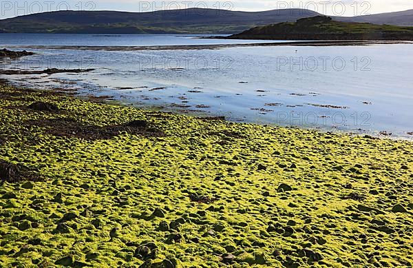 Inner Hebrides