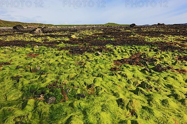 Inner Hebrides