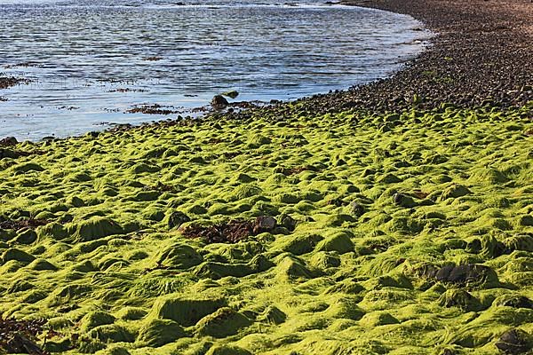 Inner Hebrides