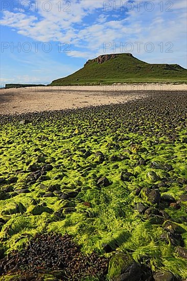 Inner Hebrides