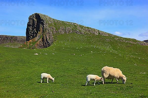 Inner Hebrides