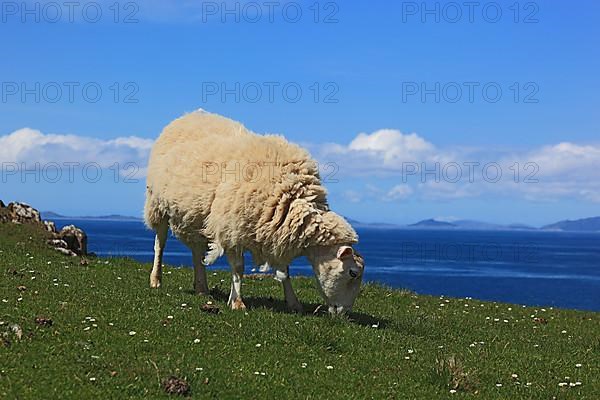 Inner Hebrides