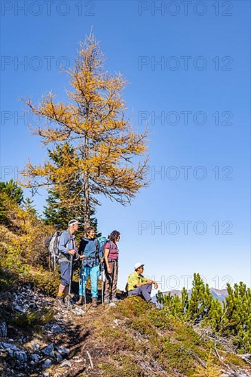 Group of hikers in autumn