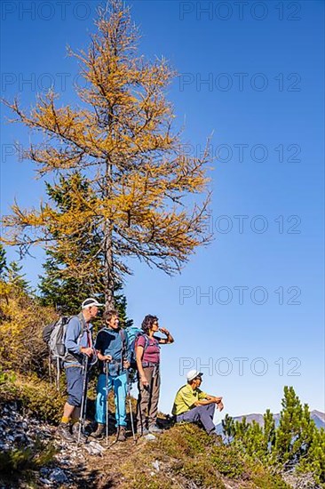 Group of hikers in autumn
