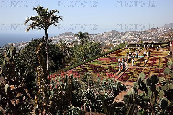 Funchal