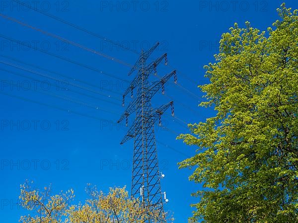 High-voltage power line behind trees at the Hardtwald West motorway service station