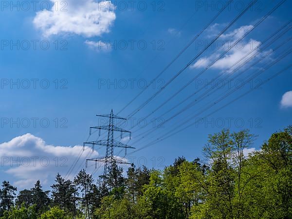 High-voltage power line behind trees at the Hardtwald West motorway service station