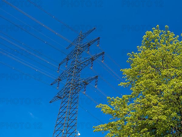 High-voltage power line behind trees at the Hardtwald West motorway service station