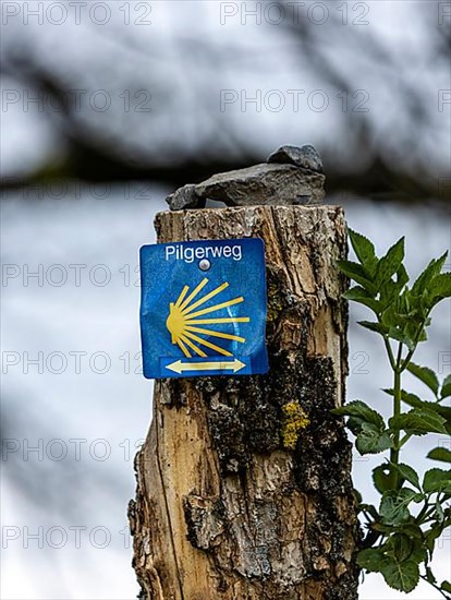 Signpost on the Pilgrim's Way