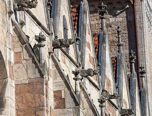 Gargoyles at Brunswick Cathedral