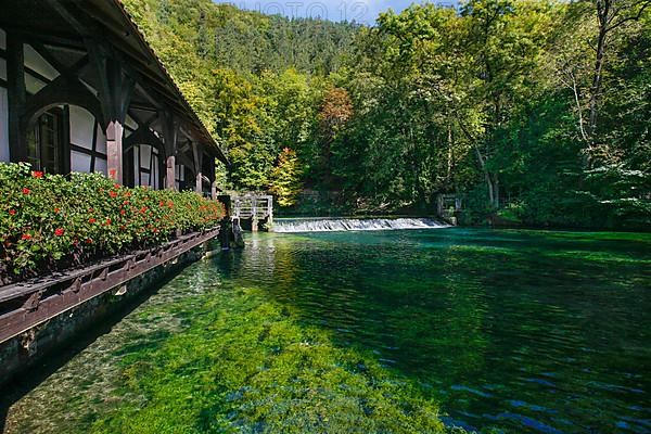 Blautopf