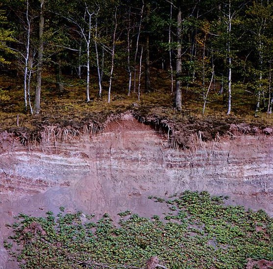 Landslide in the forest Erosion