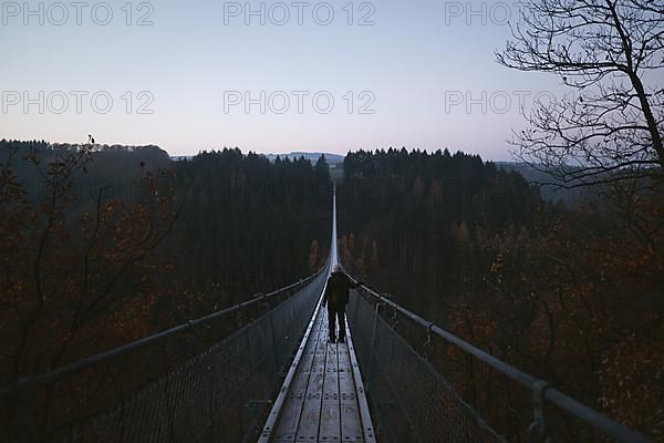 Geierlay suspension rope bridge in winter
