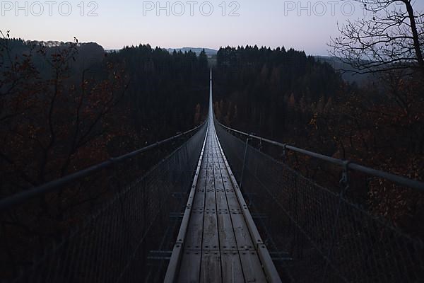 Geierlay suspension rope bridge in winter