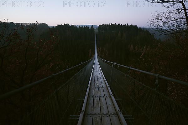 Geierlay suspension rope bridge in winter