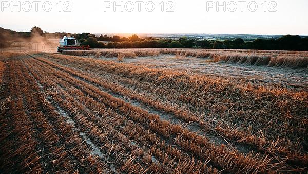 Claas Combine 540 Lexion Wheat Harvest Evening Light