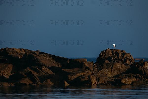 Port Blanc in the morning light