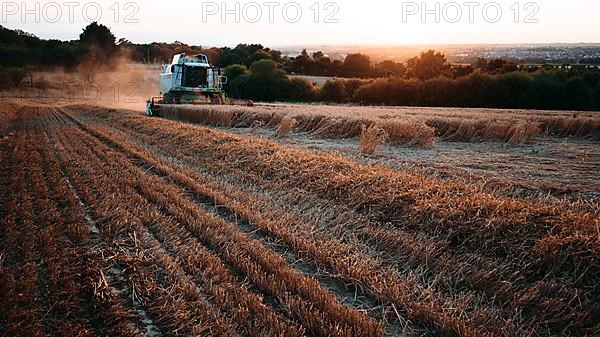 Claas Combine 540 Lexion Wheat Harvest Evening Light