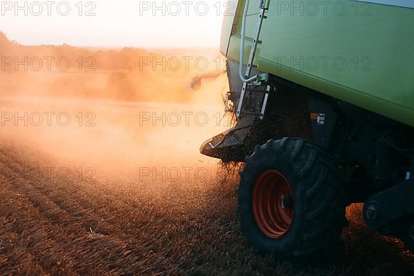 Claas Combine 540 Lexion Wheat Harvest Evening Light