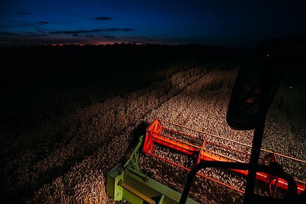 Claas Combine 540 Lexion Wheat Harvest Night