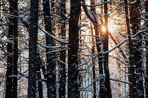 Trickling snow against the light