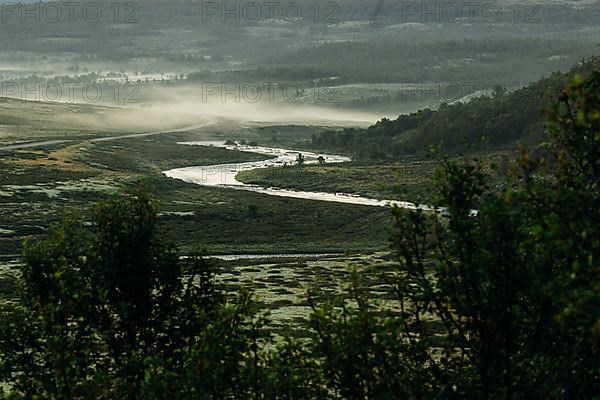Grimse River in early morning mist
