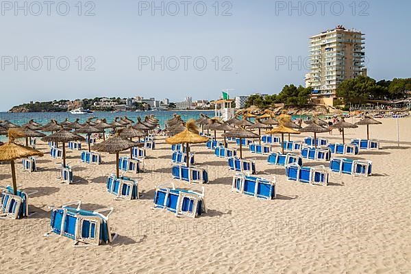 Playa Porto Novo beach, Palmanova