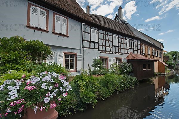 Wissembourg, Houses on the Lauter