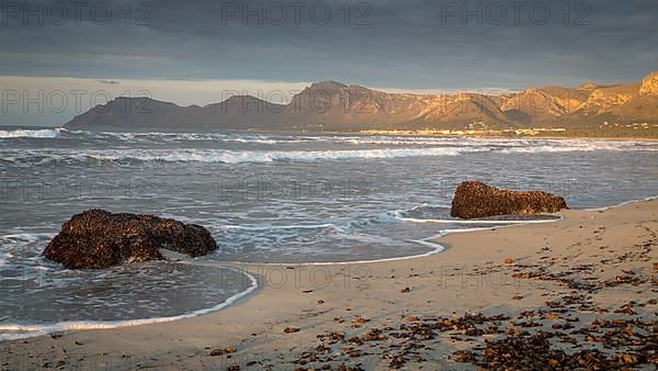 Evening atmosphere at the sandy beach Playa Sa Canova in Son Serra de Marina, in the back mountains Serres de Llevant