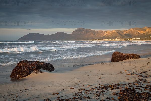 Evening atmosphere at the sandy beach Playa Sa Canova in Son Serra de Marina, in the back mountains Serres de Llevant