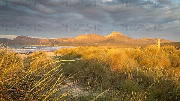 Evening atmosphere in dunes at the sandy beach Playa Sa Canova in Son Serra de Marina, in the back mountains Serres de Llevant