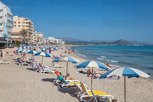 Sandy beach beach with sun loungers and parasols, Can Picafort