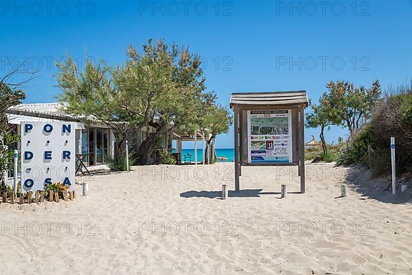 Sandy beach beach Playa de Muro, left beach bar Chiringuito Ponderosa Beach