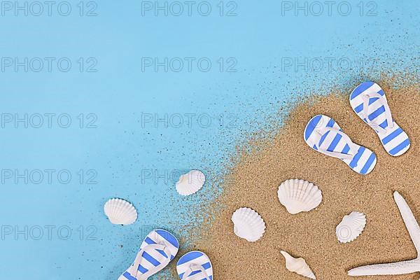 Summer shoes, seashells