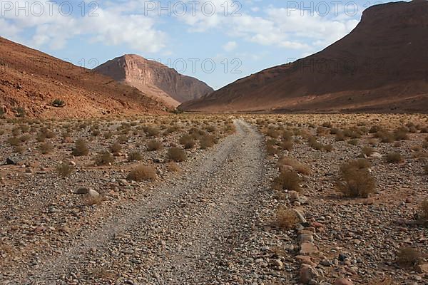 Lonely track in a wadi in the Antiatlas near Ait Herbil, Morocco