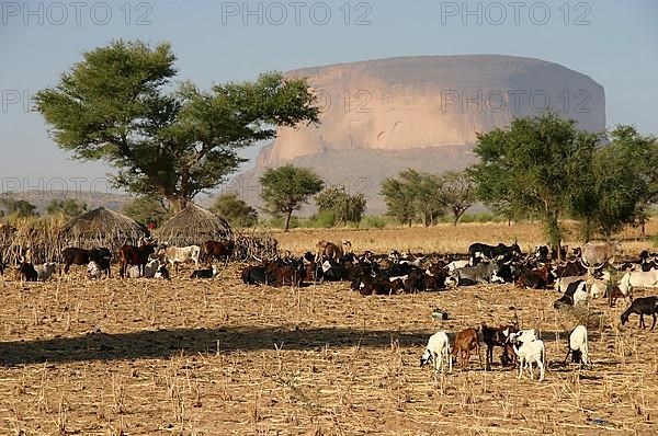 Hombori Tondo, the highest mountain in Mali