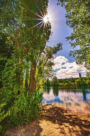 Sun star on a deciduous tree at the gravel pond in summer in Lohnde, Seelze