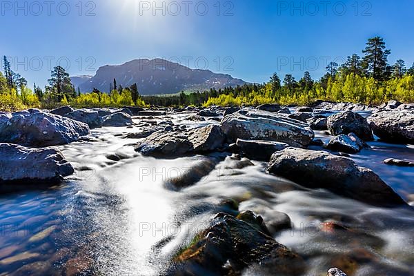 National park Stora Sjoefallets, Laponia