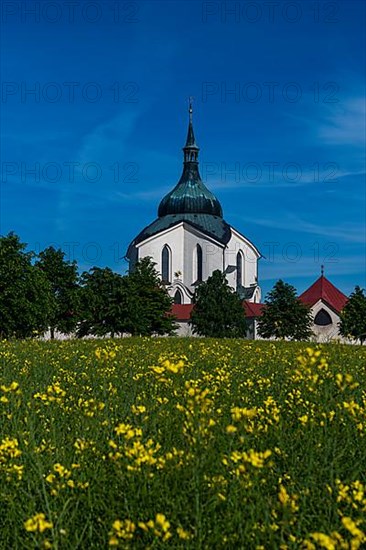 Flower field before the Unesco site Pilgrimage Church of Saint John of Nepomuk, Czech Republic