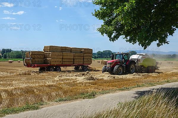 Grain harvest with tractors, baling and loading of hay bales