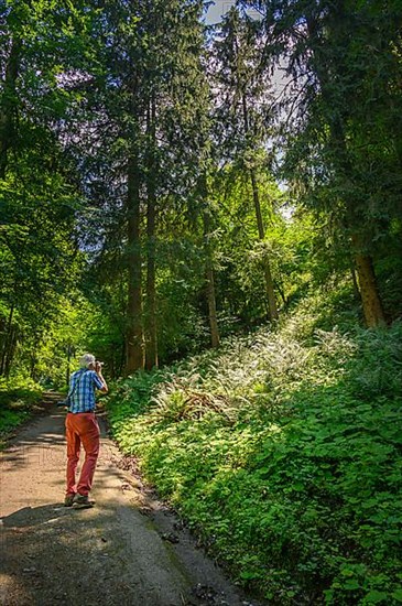 Photographer taking a picture of light in the forest with forest lady fern,